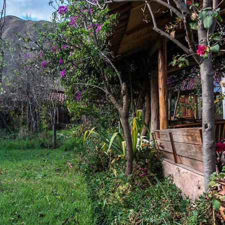 Eco Lodge Los Perales-אורובמבה מראה חיצוני תמונה