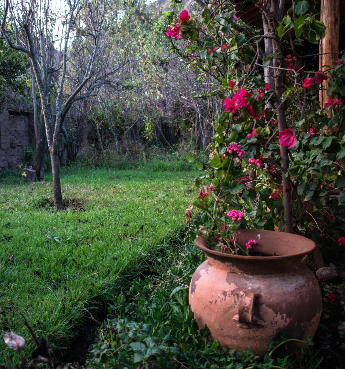 Eco Lodge Los Perales-אורובמבה מראה חיצוני תמונה