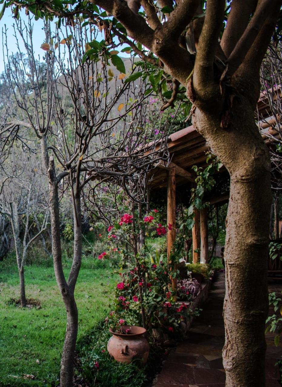 Eco Lodge Los Perales-אורובמבה מראה חיצוני תמונה